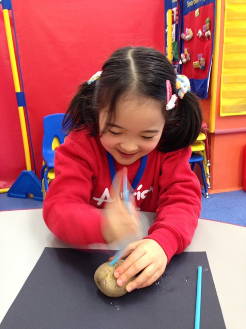 インターナショナルスクール　アメリカンキッズ横浜