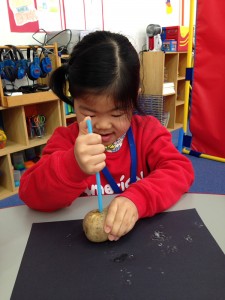 インターナショナルスクール　アメリカンキッズ横浜