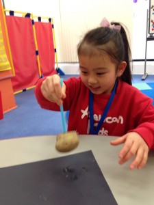 インターナショナルスクール　アメリカンキッズ横浜