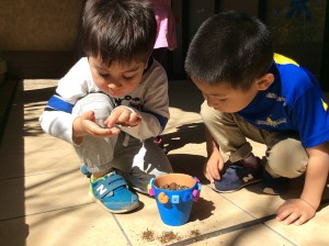 インターナショナルスクール　アメリカンキッズ横浜