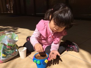 インターナショナルスクール　アメリカンキッズ横浜