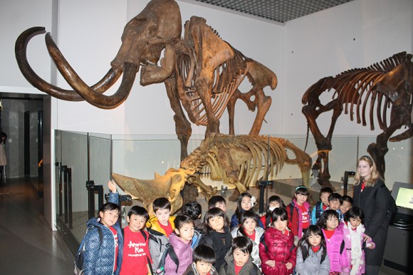 インターナショナルスクール　アメリカンキッズ横浜