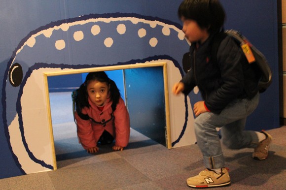 インターナショナルスクール　アメリカンキッズ横浜